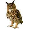 Emoji 067