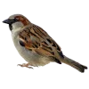 Emoji 073