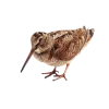 Emoji 074