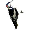 Emoji 076