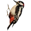 Emoji 077