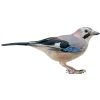 Emoji 080