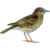 Emoji 081