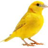 Emoji 083