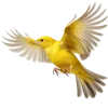 Emoji 084