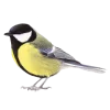 Emoji 086