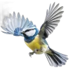 Emoji 087