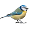 Emoji 088