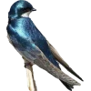 Emoji 090
