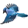 Emoji 091