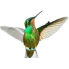 Emoji 093