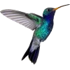 Emoji 095