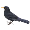 Emoji 099