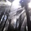 Эмодзи 005