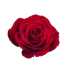 Emoji 047