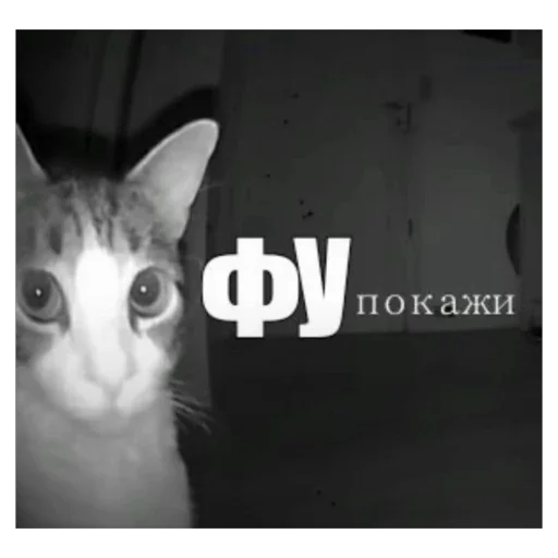 Стикер 044