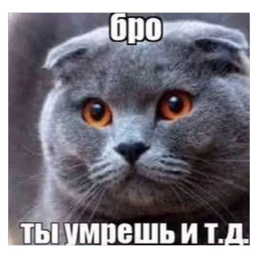 Стикер 054