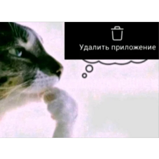 Стикер 067
