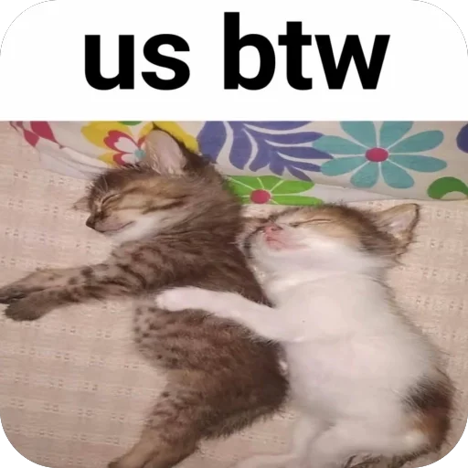 Sticker 096