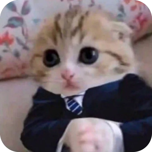 Sticker 100
