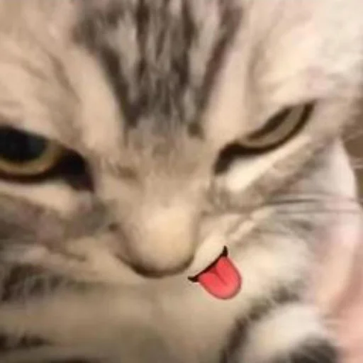 Sticker 103