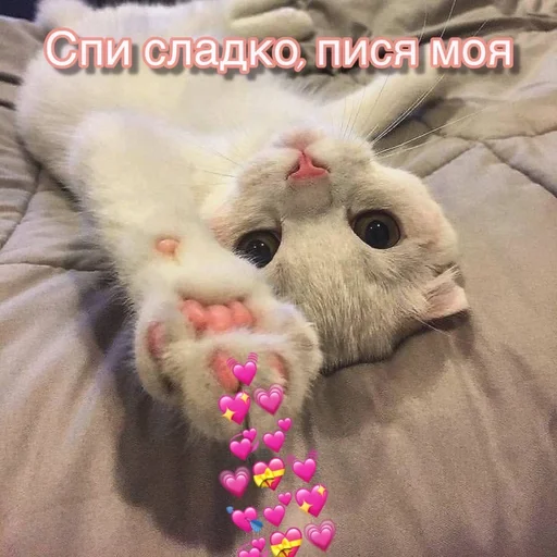 Sticker 113