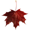 Emoji 006