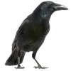 Emoji 032
