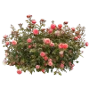 Эмодзи 106