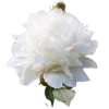 Эмодзи 109