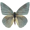 Эмодзи 111