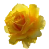 Эмодзи 112