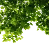 Эмодзи 128