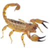 Эмодзи 146
