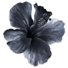Emoji 166