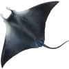Emoji 182