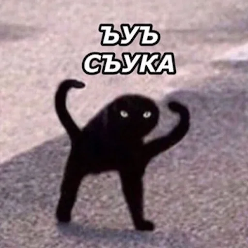 Стикер 003