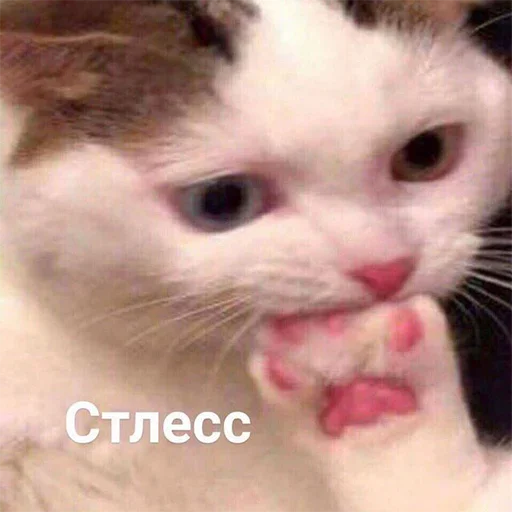 Стикер 012