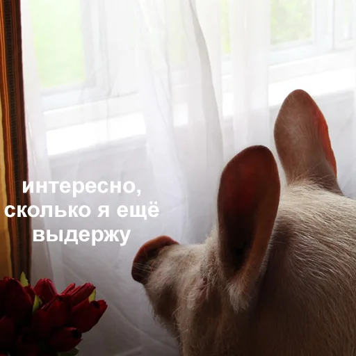 Стикер 003