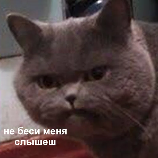 Стикер 004