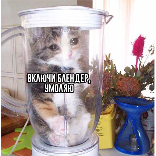 Стикер 007