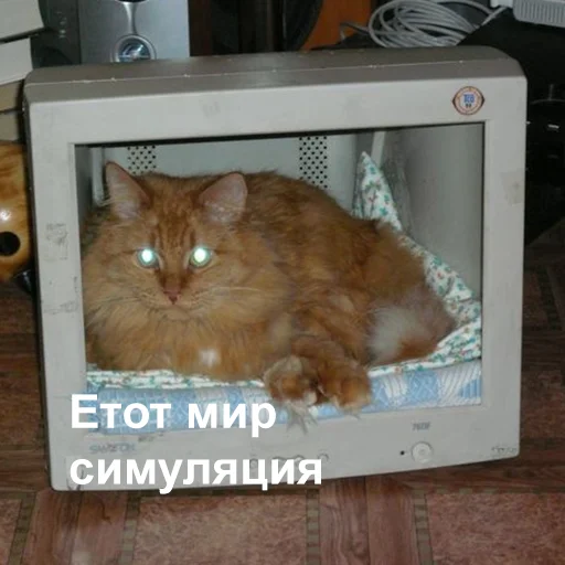 Sticker 009