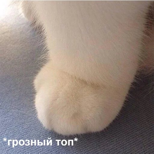Стикер 010