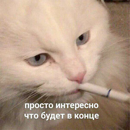 Стикер 015