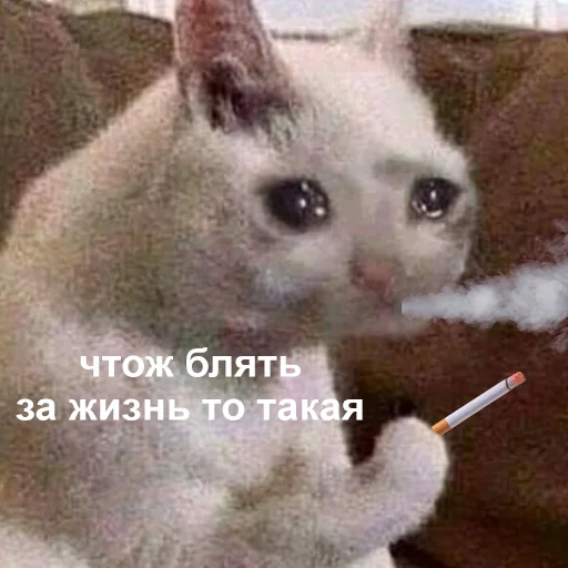 Стикер 016