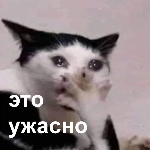 Стикер 017