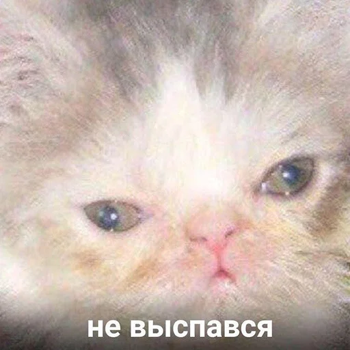 Стикер 020