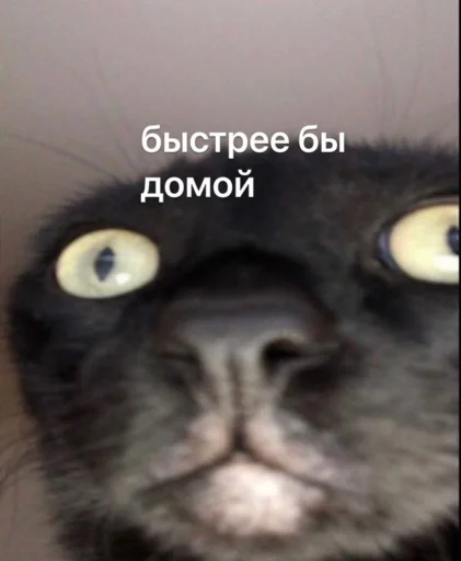 Стикер 021
