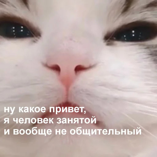Стикер 023