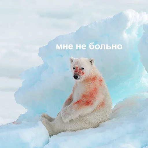 Стикер 029